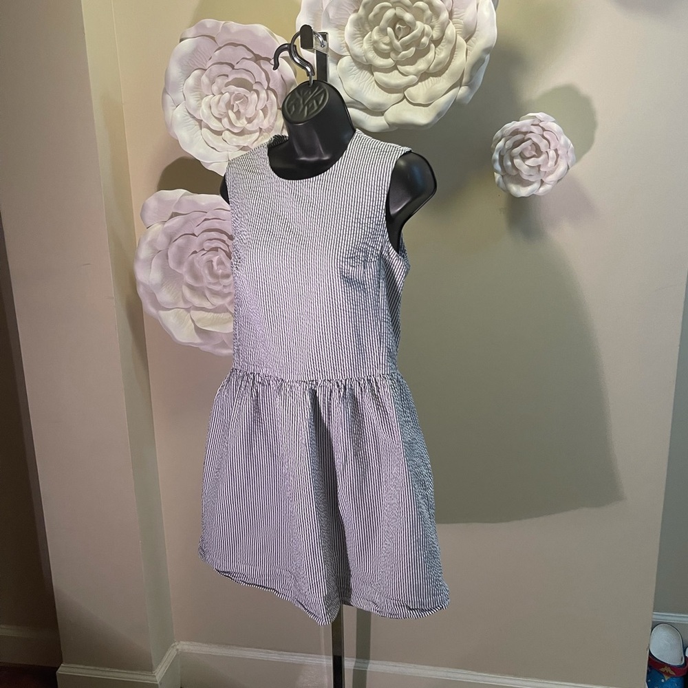 Fat Girl, Slim Closet- Seersucker Dress Sz 8